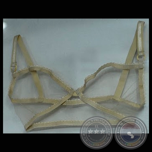 CARNE, 2011 (Obra de CLAUDIA CASARINO)